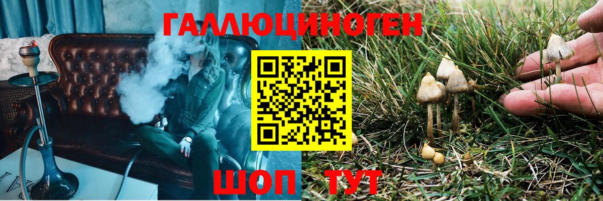 дарнет шоп  Галлюциногенные грибы мухоморы  Вход с VPN  Сухой Лог 